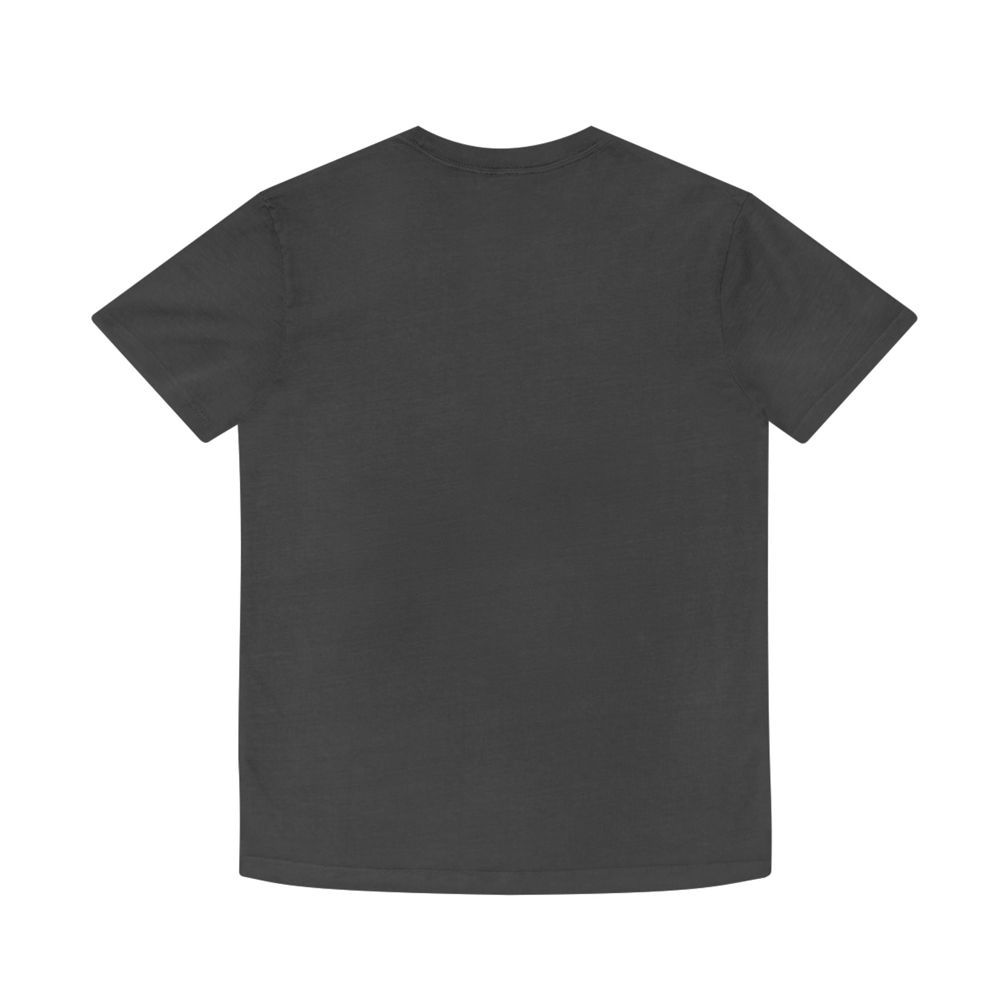 Bonney Lake WA Alien Takeover T‑Shirt — UFO Biking Retro Graphic